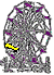 seeing