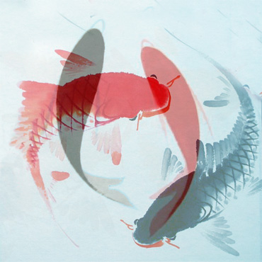 Second generation appear at 60% and first generation disappear at 40%. The second generation have crossed colors--the red fish has black eyes and the black fish has red whiskers. 