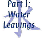 Part 1. Water Leavings